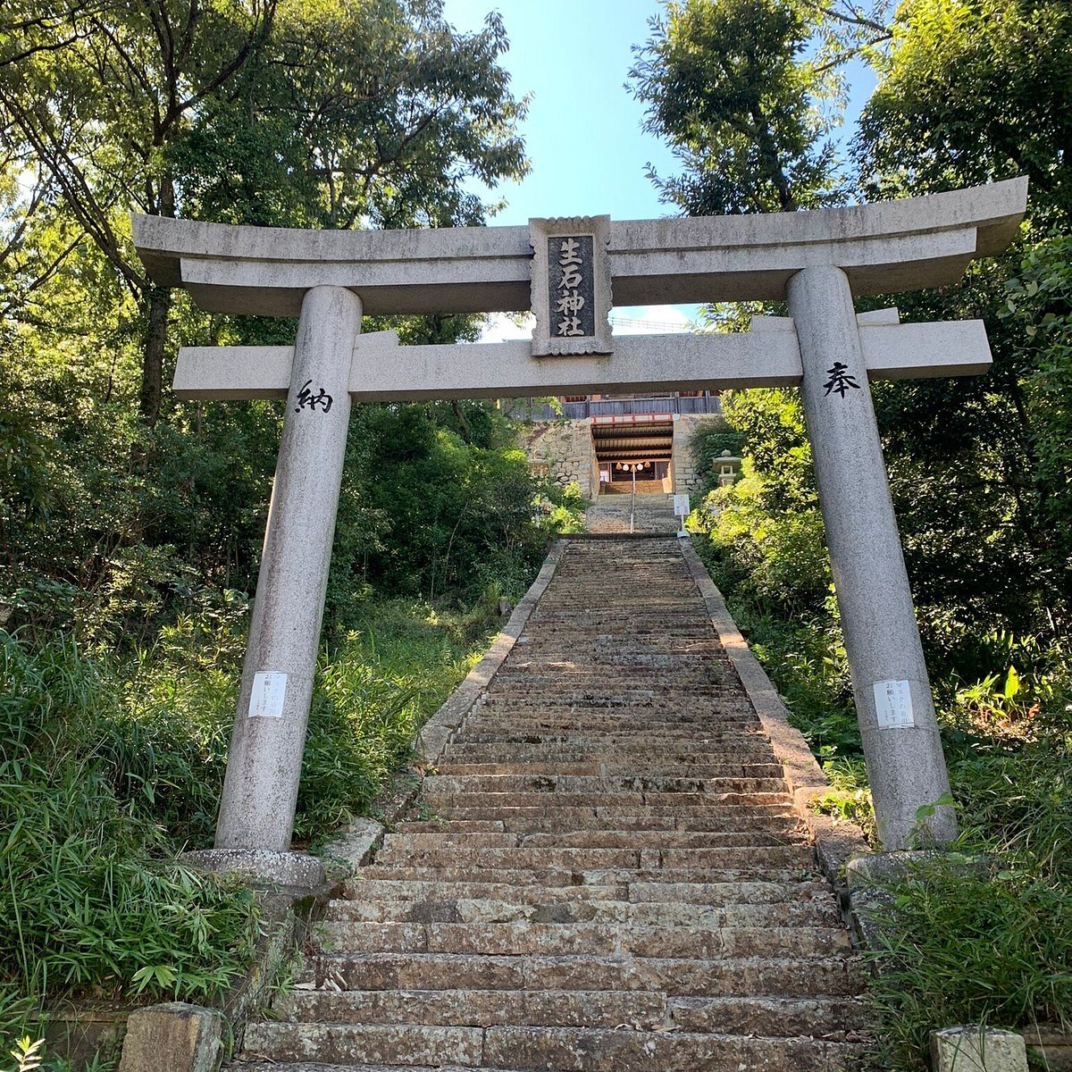 🌳 다카사고 해변공원(타카사고 카이힌 코엔) 이미지 7